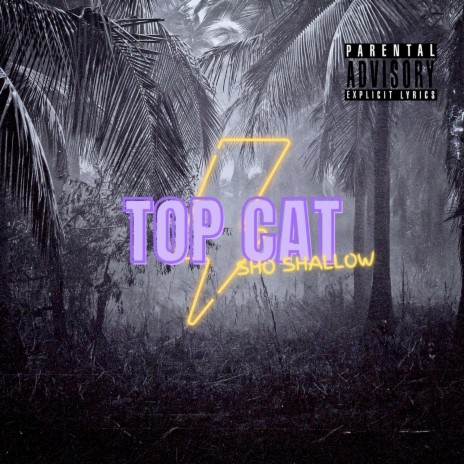 Top Cat | Boomplay Music