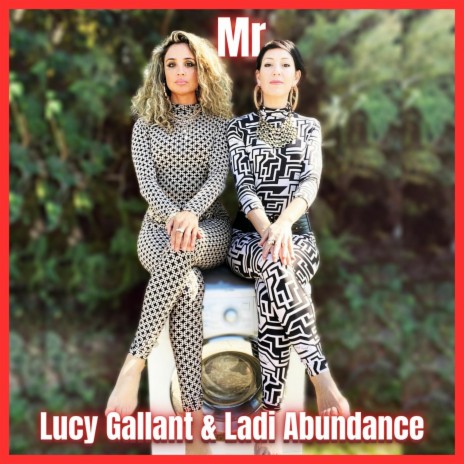 Mr. ft. Ladi Abundance | Boomplay Music