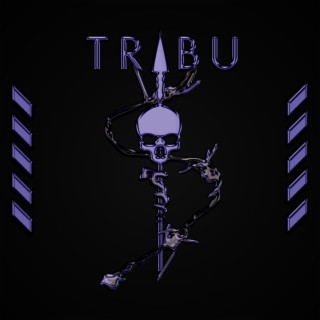 Tribu