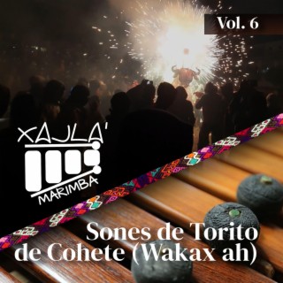 Sones De Torito de Cohete (Wacax ah) (Vol.6)