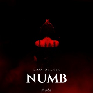 Numb (Techno Version)