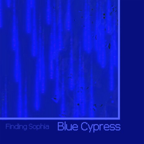 Blue Cypress