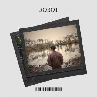 Robot lyrics | Boomplay Music