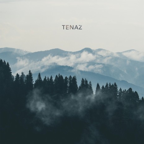 Tenaz | Boomplay Music