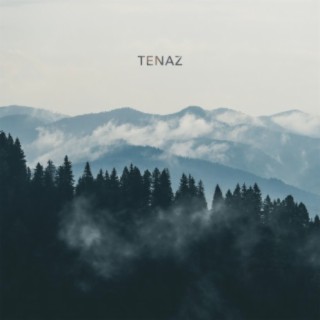 Tenaz