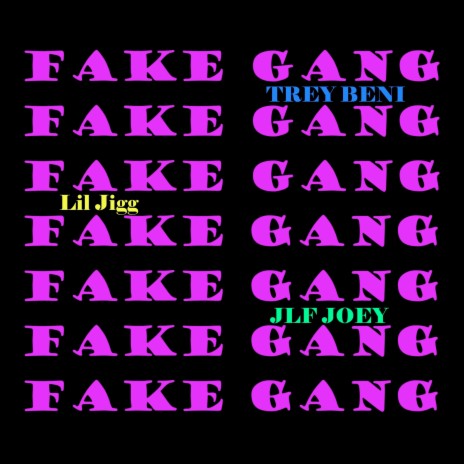 Fake Gang ft. JLF Joey & Lil Jigg | Boomplay Music