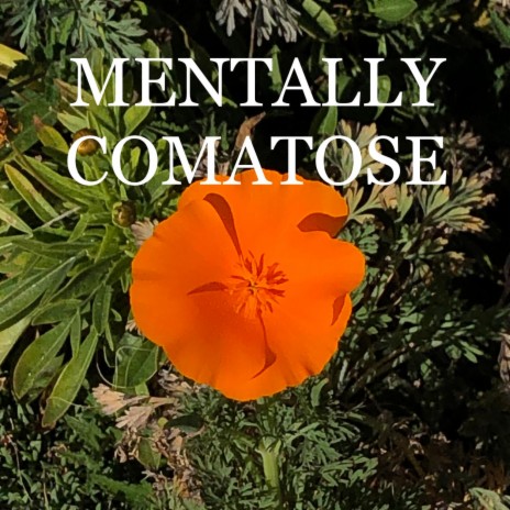 MENTALLY COMATOSE | Boomplay Music