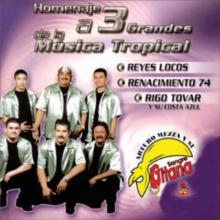 Homenaje A 3 Grandes De La Musica Tropical, Vol. 14