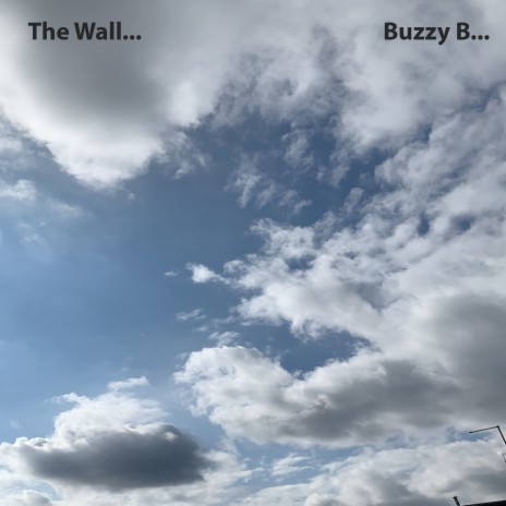 The Wall... | Boomplay Music