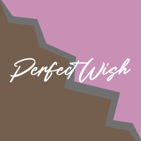 Perfect Wish | Boomplay Music