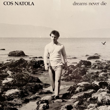 Dreams Never Die | Boomplay Music