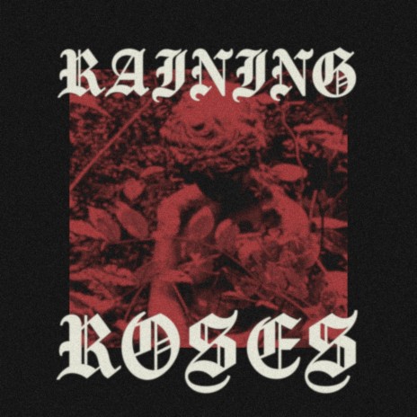 Raining Roses | Boomplay Music