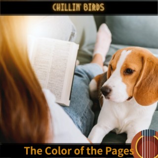 The Color of the Pages