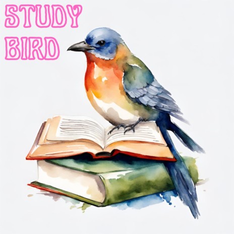 Study bird