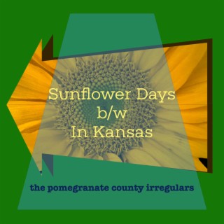 Sunflower Days b/w In Kansas