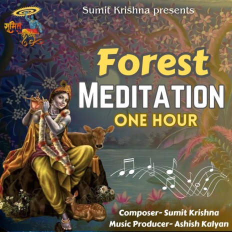 Forest Meditation One Hour | Boomplay Music