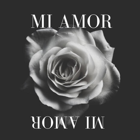 Mi Amor | Boomplay Music