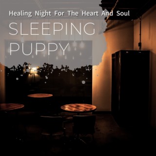 Healing Night for the Heart and Soul