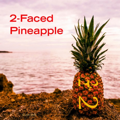 Two-Faced Pineapple | Boomplay Music
