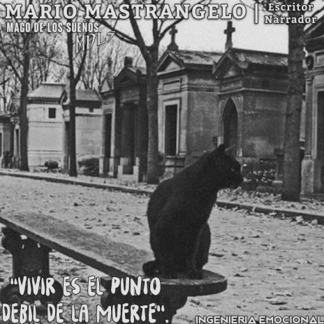 El gato del cementerio | Boomplay Music