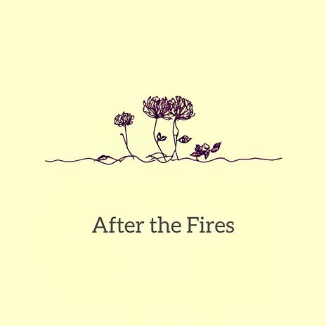 After the Fires ft. The Human Experience | Boomplay Music