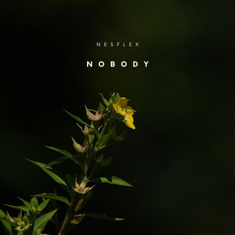 Nobody | Boomplay Music