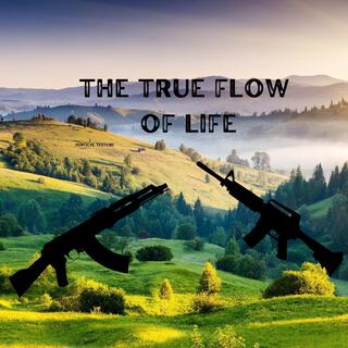 THE TRUE FLOW OF LIFE