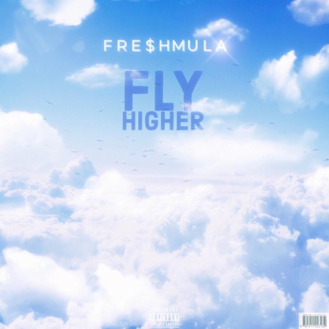 Fly Higher | Boomplay Music