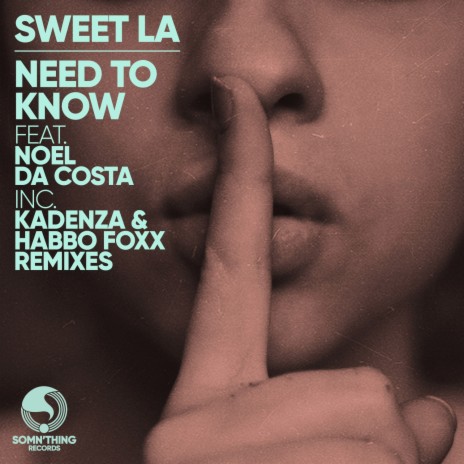 Need to Know (Original Mix) ft. Noel Da Costa | Boomplay Music