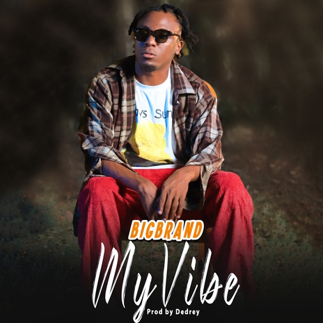 my vibe | Boomplay Music