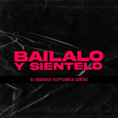 Bailalo y Sientelo ft. Dj Camilo Santos | Boomplay Music