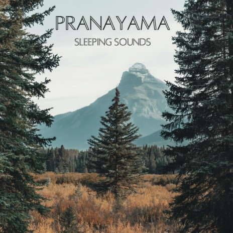 Pranayama | Boomplay Music
