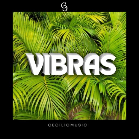 Vibras | Boomplay Music