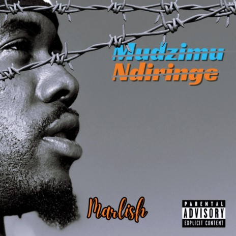 Mudzimu Ndiringe | Boomplay Music