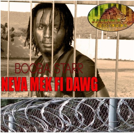 Neva Mek Fi Dawg | Boomplay Music