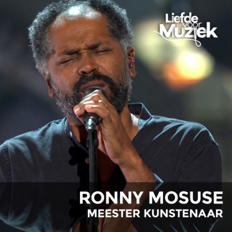 Meester Kunstenaar (Uit Liefde Voor Muziek) | Boomplay Music