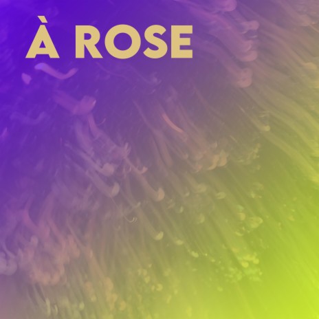 À Rose | Boomplay Music
