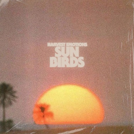 Sun Birds | Boomplay Music