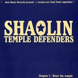 SHAOLIN TEMPLE DEFENDERS