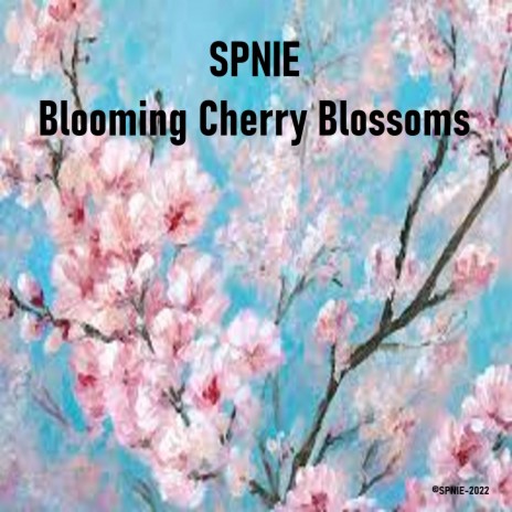 Blooming Cherry Blossoms