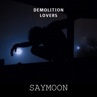 Demolition Lovers