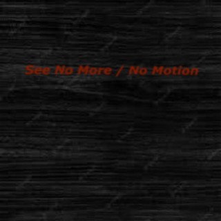 See No More / No Motion