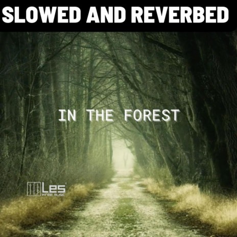 In the Forest (slowed and reverbed) ft. Olexy | Boomplay Music