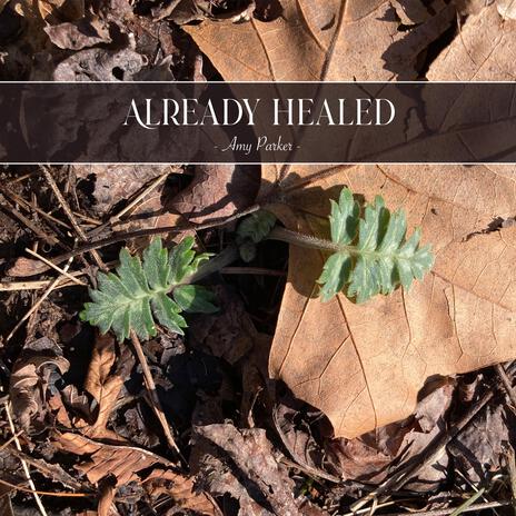 Already Healed | Boomplay Music