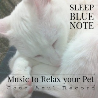 Music to Relax your Pet