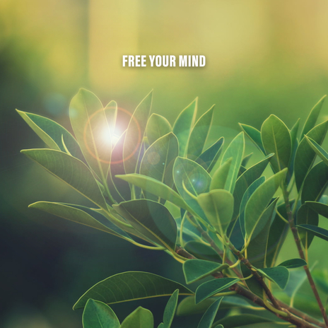 Free Your Mind | Boomplay Music