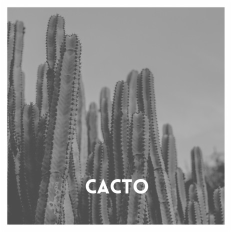 Cacto | Boomplay Music