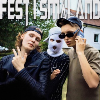 Fest i Småland