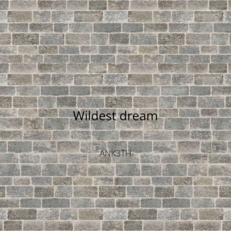 Wildest Dream | Boomplay Music