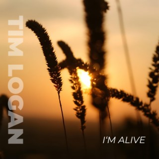 I'm Alive lyrics | Boomplay Music